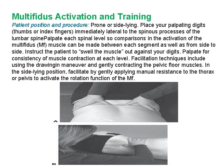 Multifidus Activation and Training Patient position and procedure: Prone or side-lying. Place your palpating