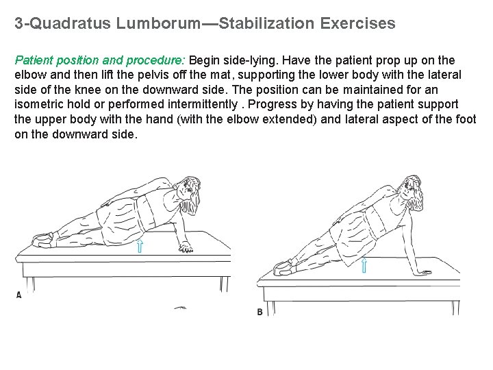 3 -Quadratus Lumborum—Stabilization Exercises Patient position and procedure: Begin side-lying. Have the patient prop