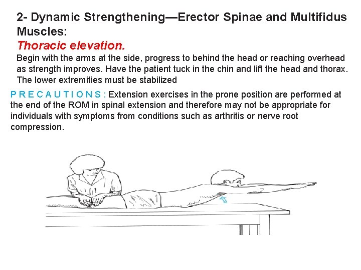 2 - Dynamic Strengthening—Erector Spinae and Multifidus Muscles: Thoracic elevation. Begin with the arms
