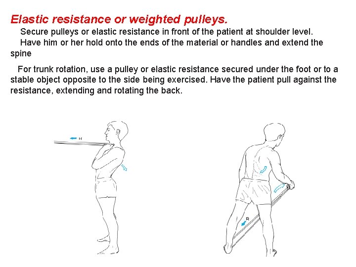 Elastic resistance or weighted pulleys. Secure pulleys or elastic resistance in front of the