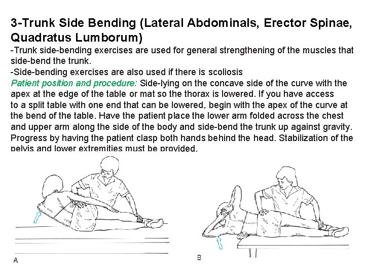 3 -Trunk Side Bending (Lateral Abdominals, Erector Spinae, Quadratus Lumborum) -Trunk side-bending exercises are