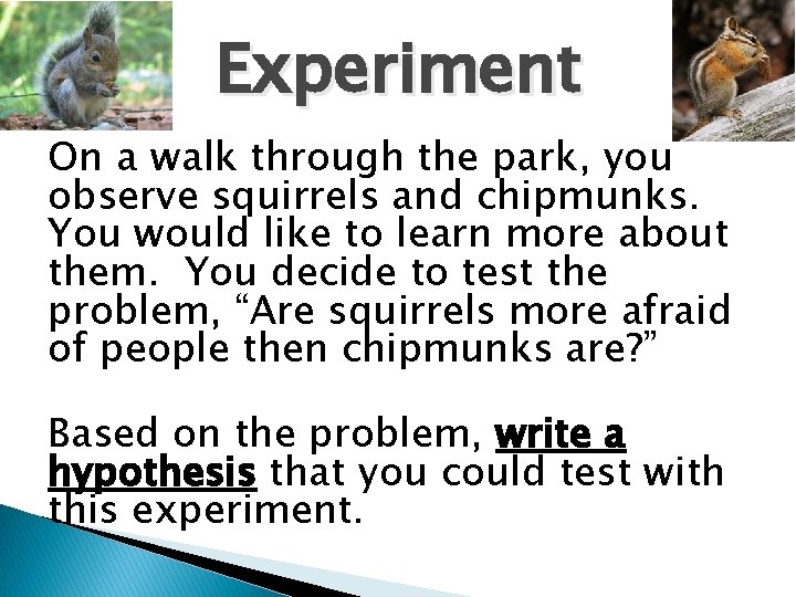 Experiment On a walk through the park, you observe squirrels and chipmunks. You would