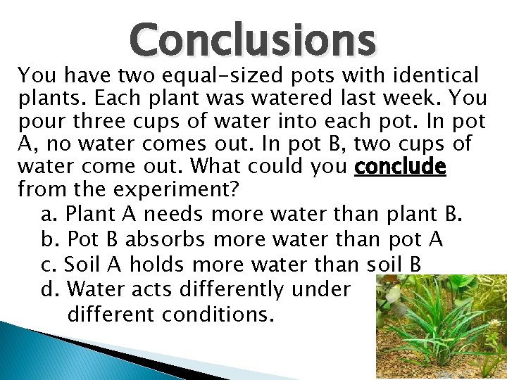 Conclusions You have two equal-sized pots with identical plants. Each plant was watered last