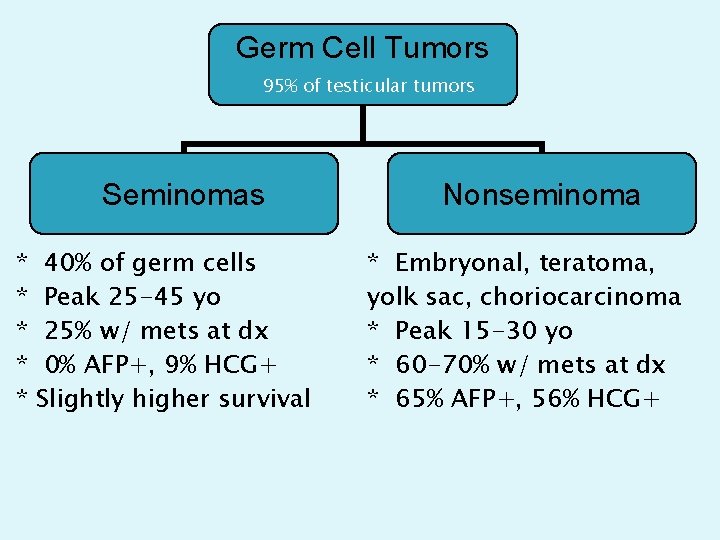 Germ Cell Tumors 95% of (95%) testicular tumors Seminomas * * * 40% of