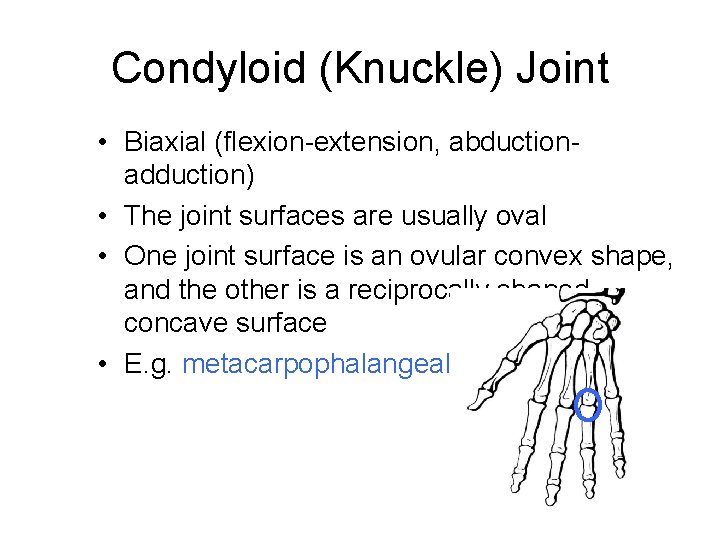 Joints of the Human Body Joint Classification Synovial