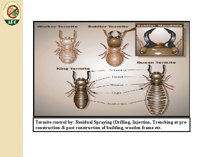 Termite control by: Residual Spraying (Drilling, Injection, Trenching at preconstruction & post construction of