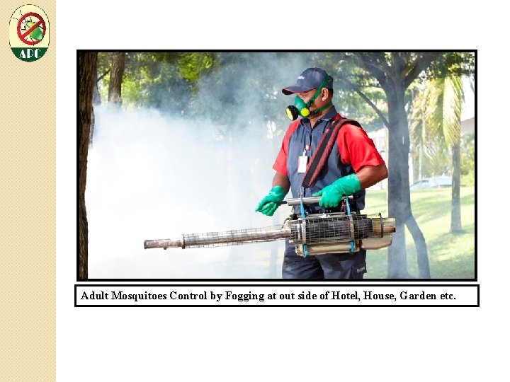 Adult Mosquitoes Control by Fogging at out side of Hotel, House, Garden etc. 