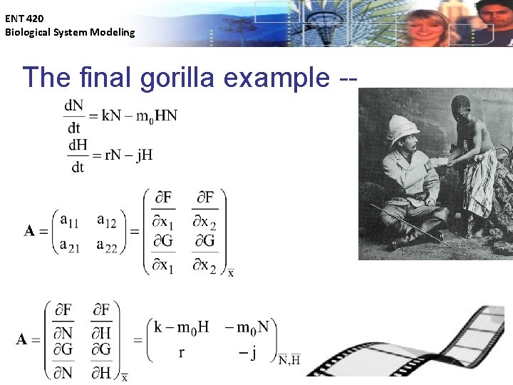 ENT 420 Biological System Modeling The final gorilla example -- 
