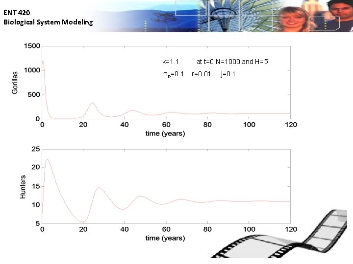 ENT 420 Biological System Modeling k=1. 1 m 0=0. 1 at t=0 N=1000 and