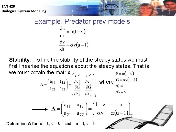 ENT 420 Biological System Modeling Example: Predator prey models Stability: To find the stability