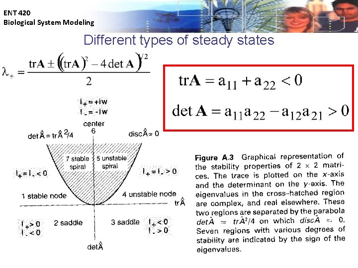 ENT 420 Biological System Modeling Different types of steady states 