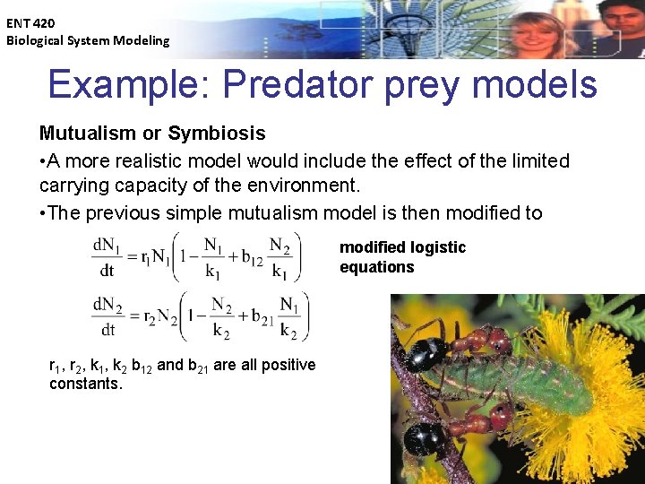 ENT 420 Biological System Modeling Example: Predator prey models Mutualism or Symbiosis • A