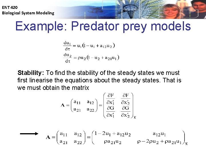 ENT 420 Biological System Modeling Example: Predator prey models Stability: To find the stability