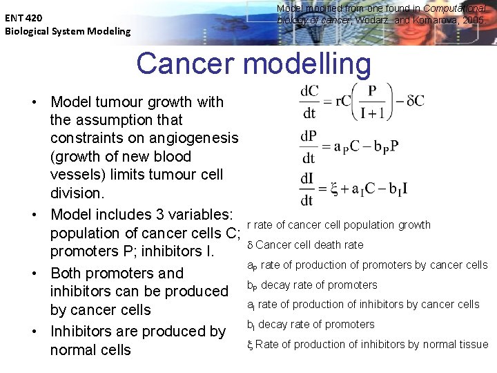 Model modified from one found in Computational biology of cancer, Wodarz and Komarova, 2005.