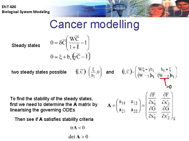 ENT 420 Biological System Modeling Cancer modelling Steady states two steady states possible and