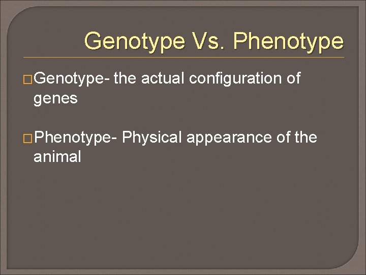 Genotype Vs. Phenotype �Genotype- the actual configuration of genes �Phenotype- animal Physical appearance of