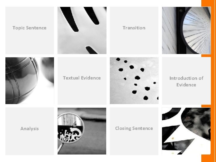 Topic Sentence Transition Textual Evidence Analysis Introduction of Evidence Closing Sentence 