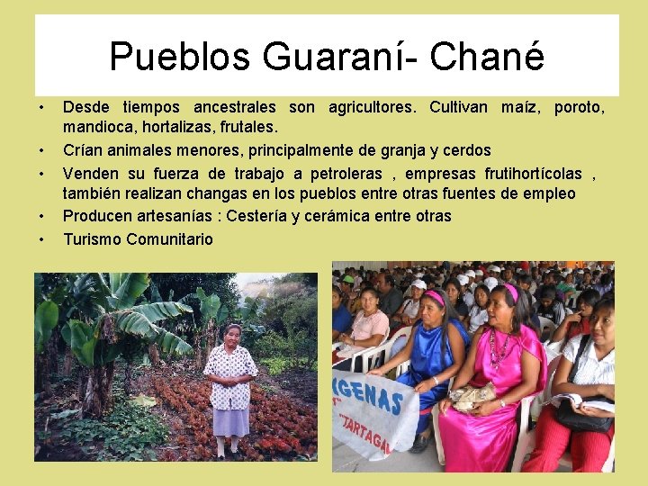 Pueblos Guaraní- Chané • • • Desde tiempos ancestrales son agricultores. Cultivan maíz, poroto,