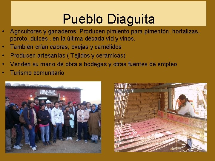 Pueblo Diaguita • Agricultores y ganaderos: Producen pimiento para pimentón, hortalizas, poroto, dulces ,