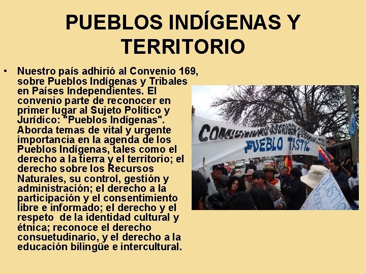 PUEBLOS INDÍGENAS Y TERRITORIO • Nuestro país adhirió al Convenio 169, sobre Pueblos Indígenas