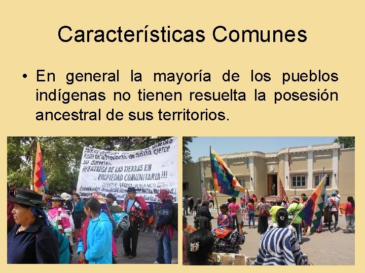 Características Comunes • En general la mayoría de los pueblos indígenas no tienen resuelta