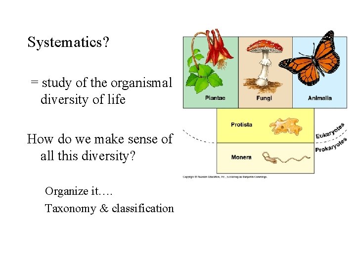 Systematics? = study of the organismal diversity of life How do we make sense