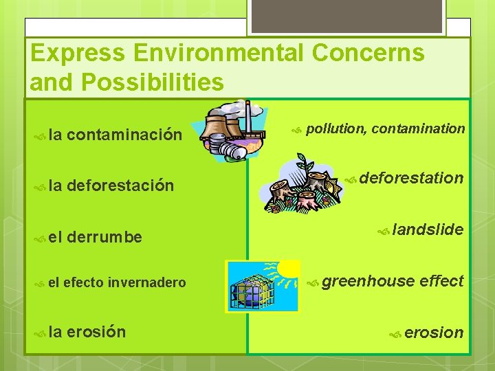 Express Environmental Concerns and Possibilities la contaminación la deforestación el derrumbe el efecto invernadero