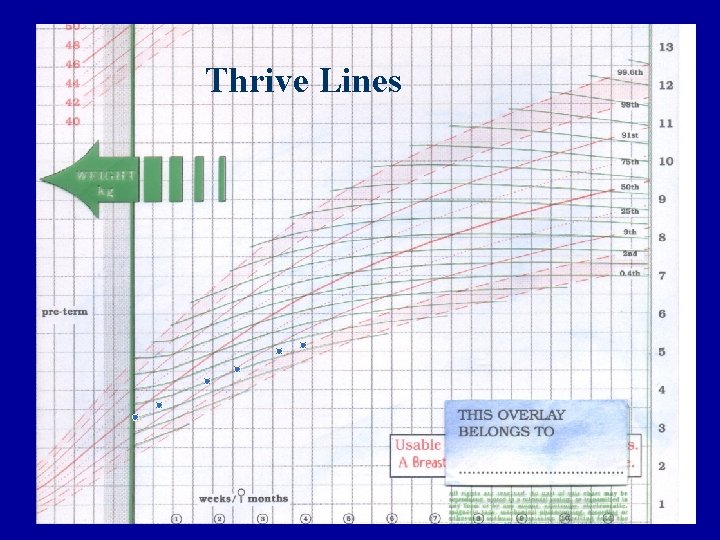 Thrive Lines 