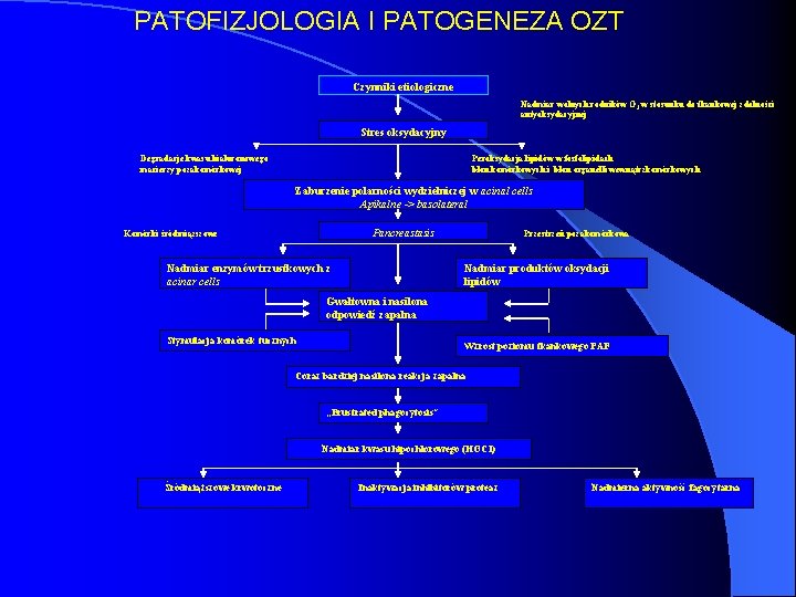 PATOFIZJOLOGIA I PATOGENEZA OZT Czynniki etiologiczne Nadmiar wolnych rodników O 2 w stosunku do