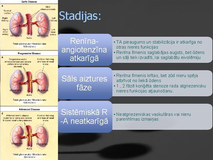 Stadijas: Renīnaangiotenzīna atkarīgā • TA pieaugums un stabilizācija ir atkarīga no otras nieres funkcijas