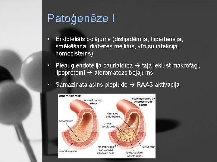 Patoģenēze I • Endoteliāls bojājums (dislipidēmija, hipertensija, smēķēšana, diabetes mellitus, vīrusu infekcija, homocisteīns) •