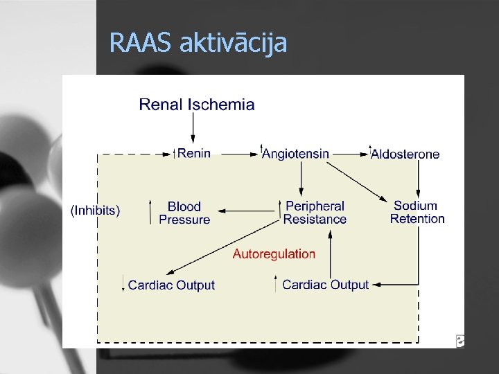 RAAS aktivācija 