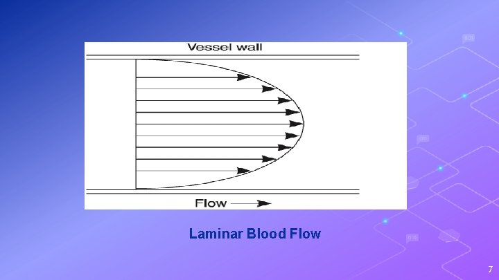 Laminar Blood Flow 7 