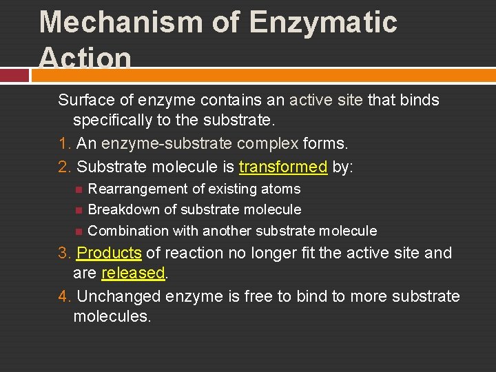 Mechanism of Enzymatic Action Surface of enzyme contains an active site that binds specifically