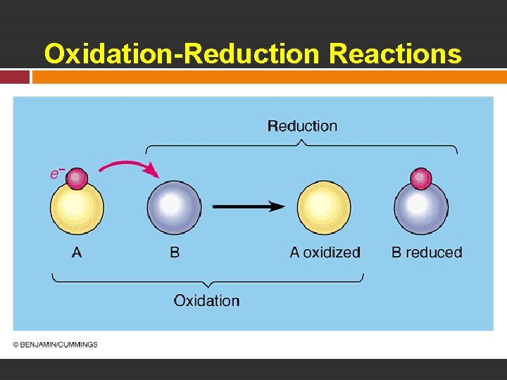 Oxidation-Reduction Reactions 