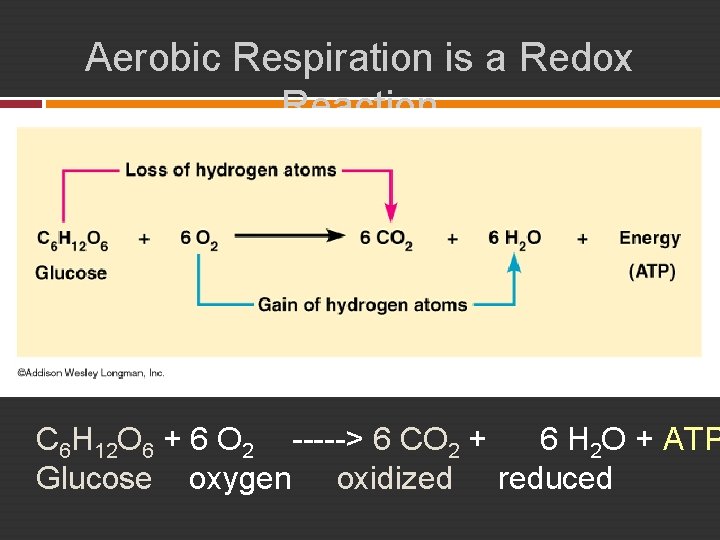 Aerobic Respiration is a Redox Reaction C 6 H 12 O 6 + 6