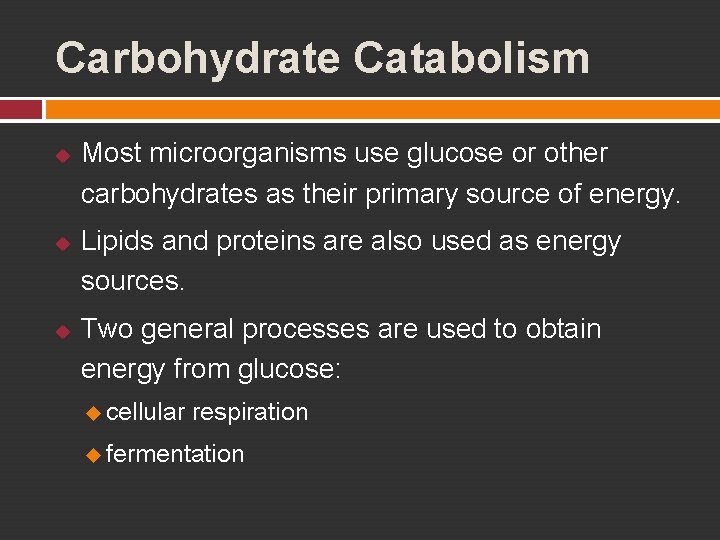 Carbohydrate Catabolism u u u Most microorganisms use glucose or other carbohydrates as their