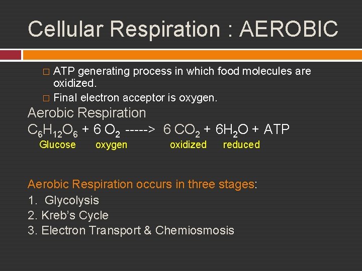 Cellular Respiration : AEROBIC ATP generating process in which food molecules are oxidized. �