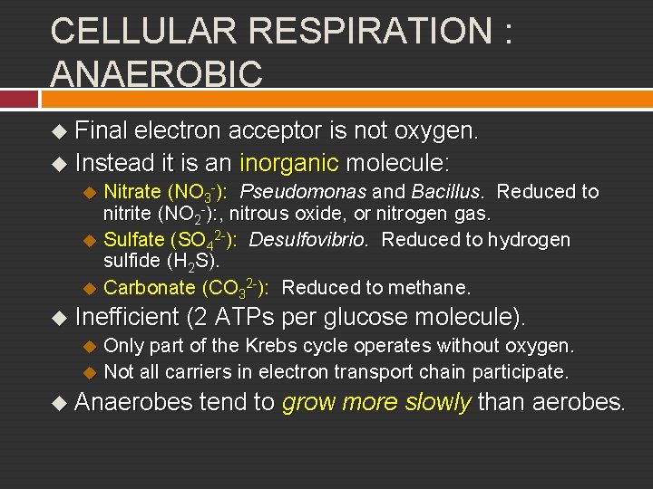 CELLULAR RESPIRATION : ANAEROBIC u Final electron acceptor is not oxygen. u Instead it