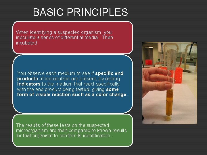 BASIC PRINCIPLES When identifying a suspected organism, you inoculate a series of differential media.