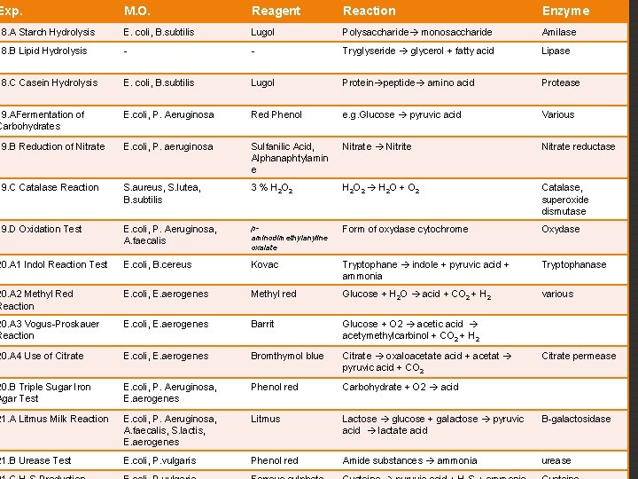 Exp. M. O. Reagent Reaction Enzyme 18. A Starch Hydrolysis E. coli, B. subtilis