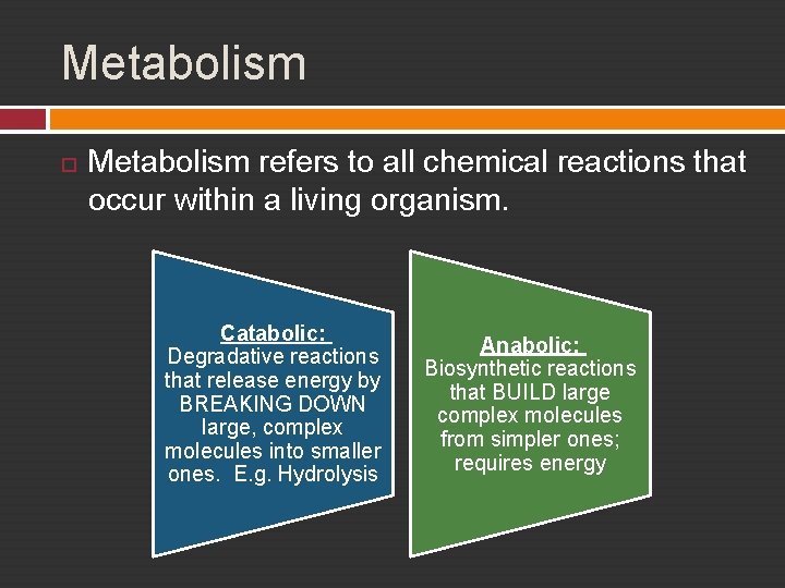 Metabolism refers to all chemical reactions that occur within a living organism. Catabolic: Degradative