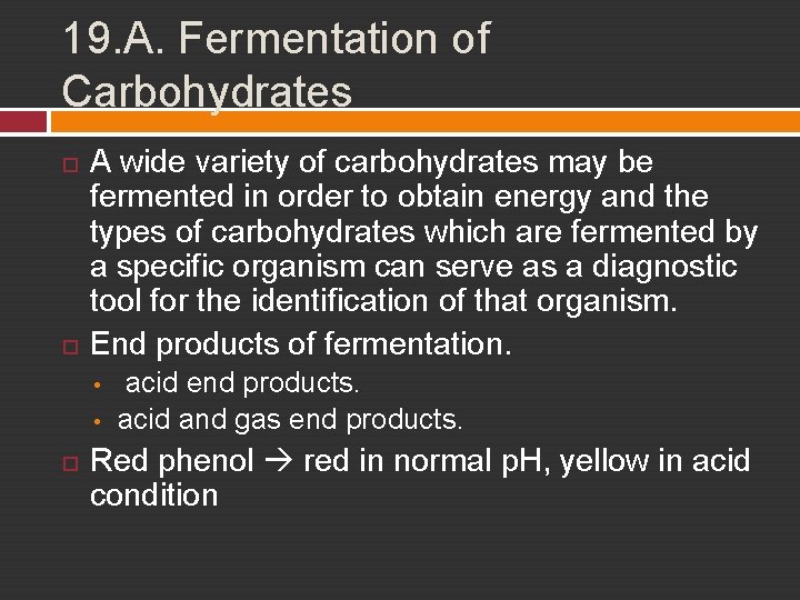 19. A. Fermentation of Carbohydrates A wide variety of carbohydrates may be fermented in