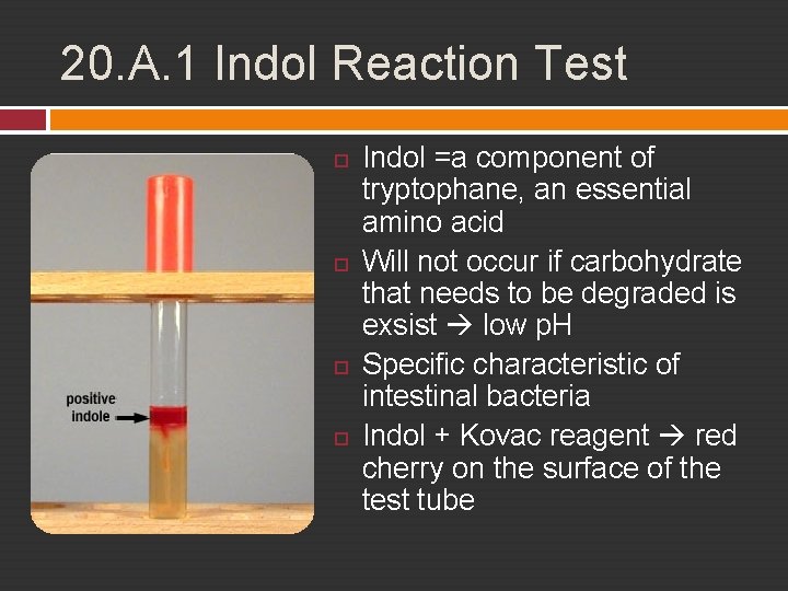 20. A. 1 Indol Reaction Test Indol =a component of tryptophane, an essential amino