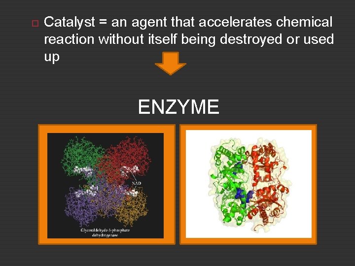 ENVIRONMENTAL MICROBIOLOGY LABORATORY MANUALPREPARED FOR ENVIRONMENTAL