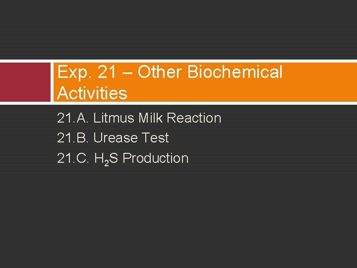 Exp. 21 – Other Biochemical Activities 21. A. Litmus Milk Reaction 21. B. Urease