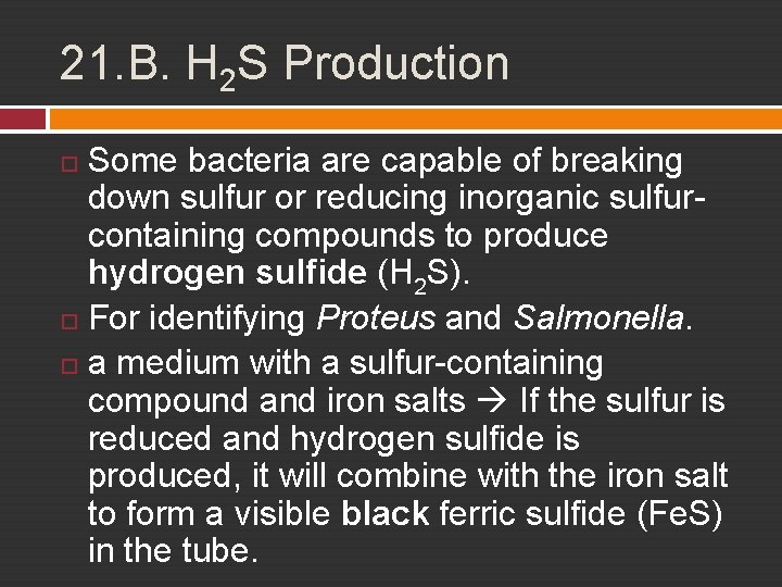 21. B. H 2 S Production Some bacteria are capable of breaking down sulfur