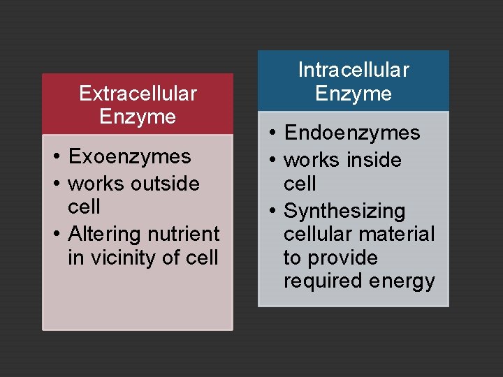 Extracellular Enzyme • Exoenzymes • works outside cell • Altering nutrient in vicinity of