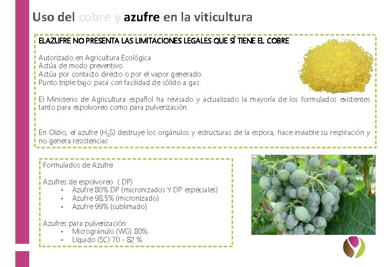 Uso del cobre y azufre en la viticultura ELAZUFRE NO PRESENTA LAS LIMITACIONES LEGALES