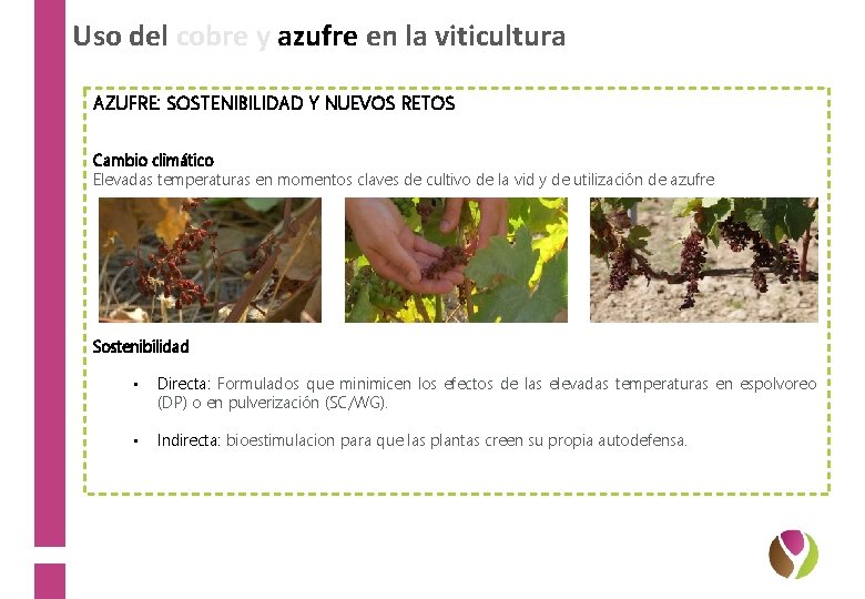 Uso del cobre y azufre en la viticultura AZUFRE: SOSTENIBILIDAD Y NUEVOS RETOS Cambio